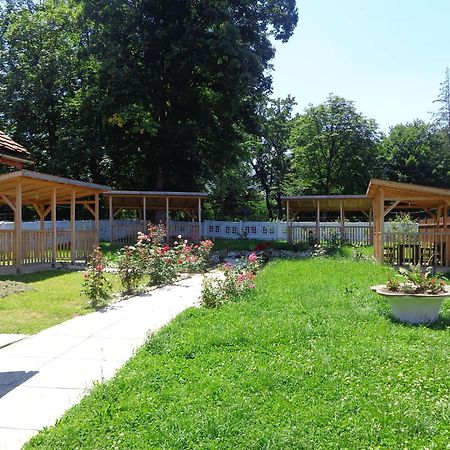 Pensiunea Radu Cisnădie Δωμάτιο φωτογραφία